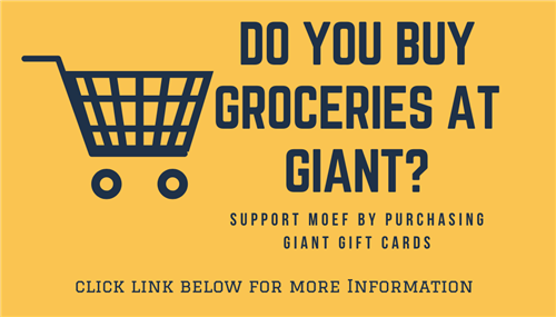 giant cards 